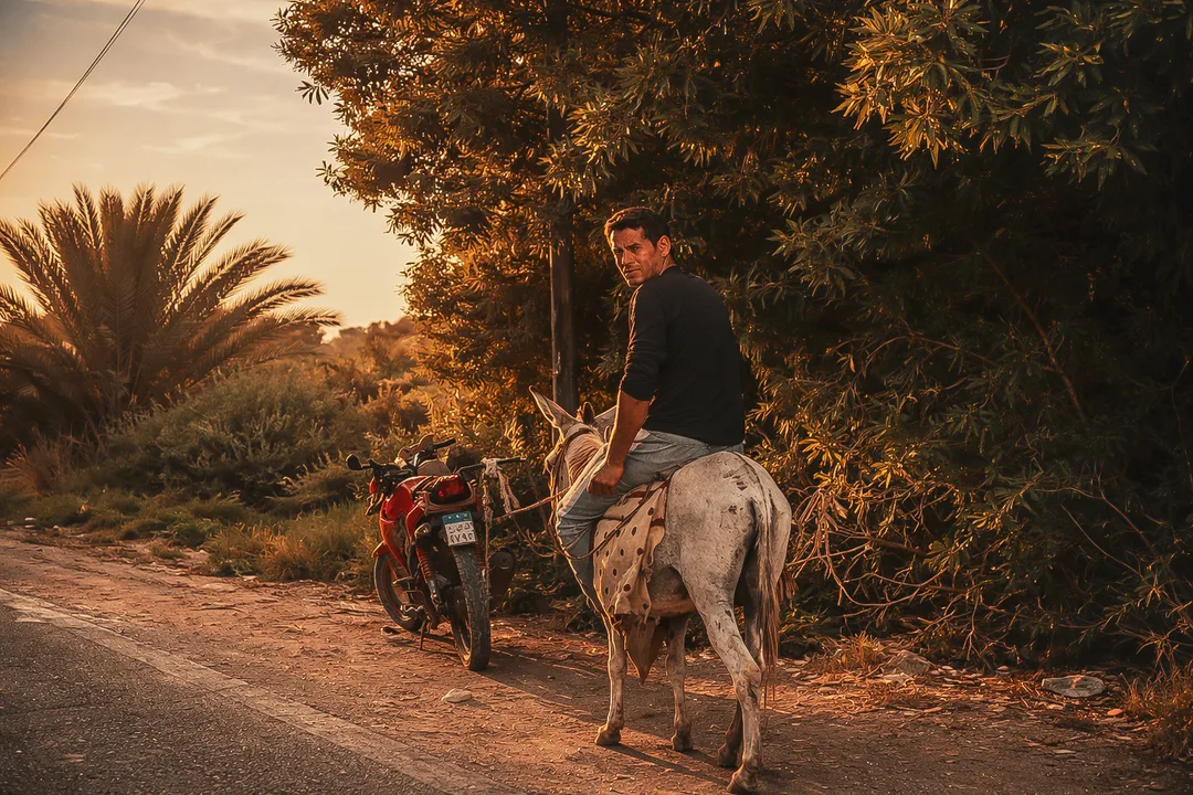 43b55321 5c35 4b9b A976 C87af9be4f12