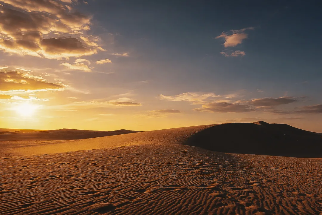 5915bb01 20c4 4817 8f02 Dde6f29f8a81