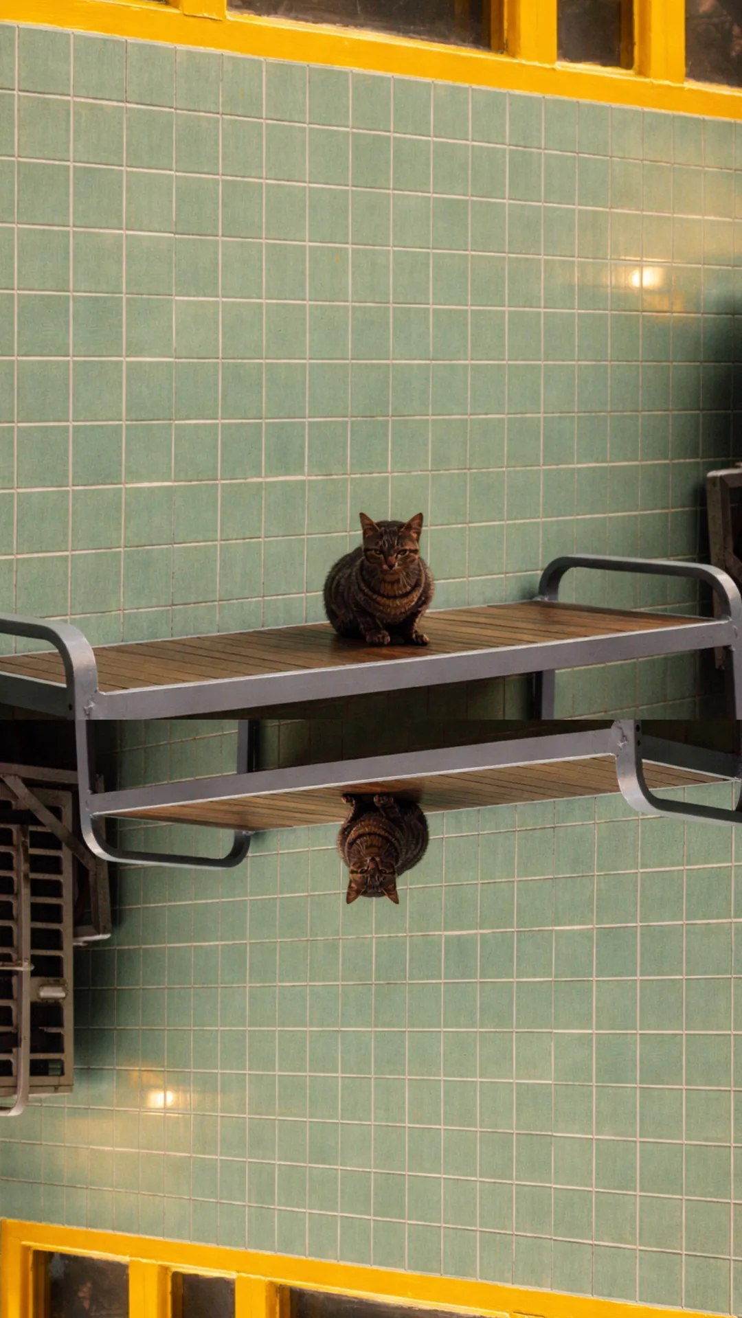 5e6e8521 Eee0 4ca5 Bbc4 2f51cb9f4dd2