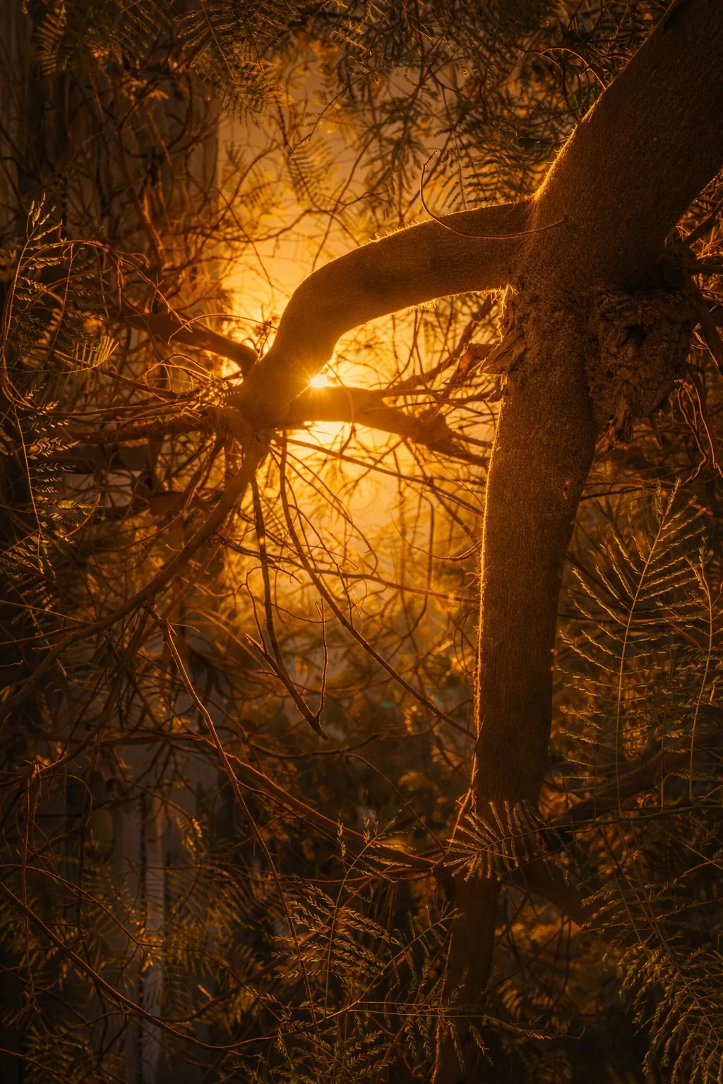 7274ad28 Ea10 4f1a 8d17 10b085c602fe 1 102 O