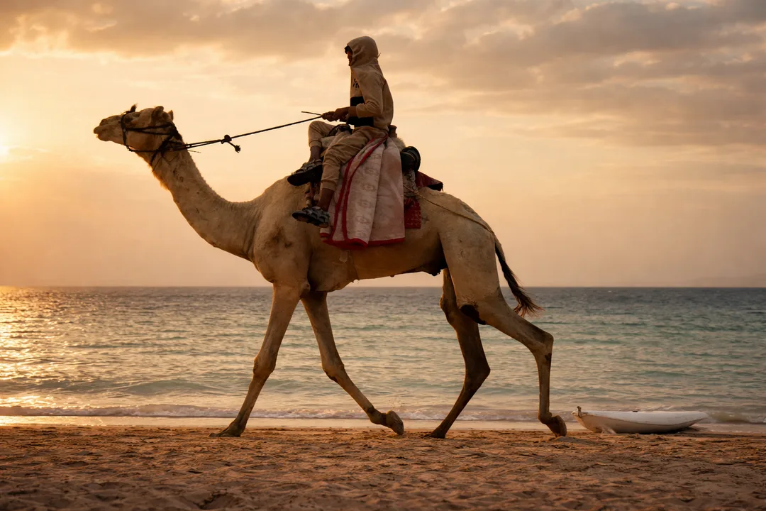 75a9efc0 Afdb 4222 A925 63d125a2c9f9