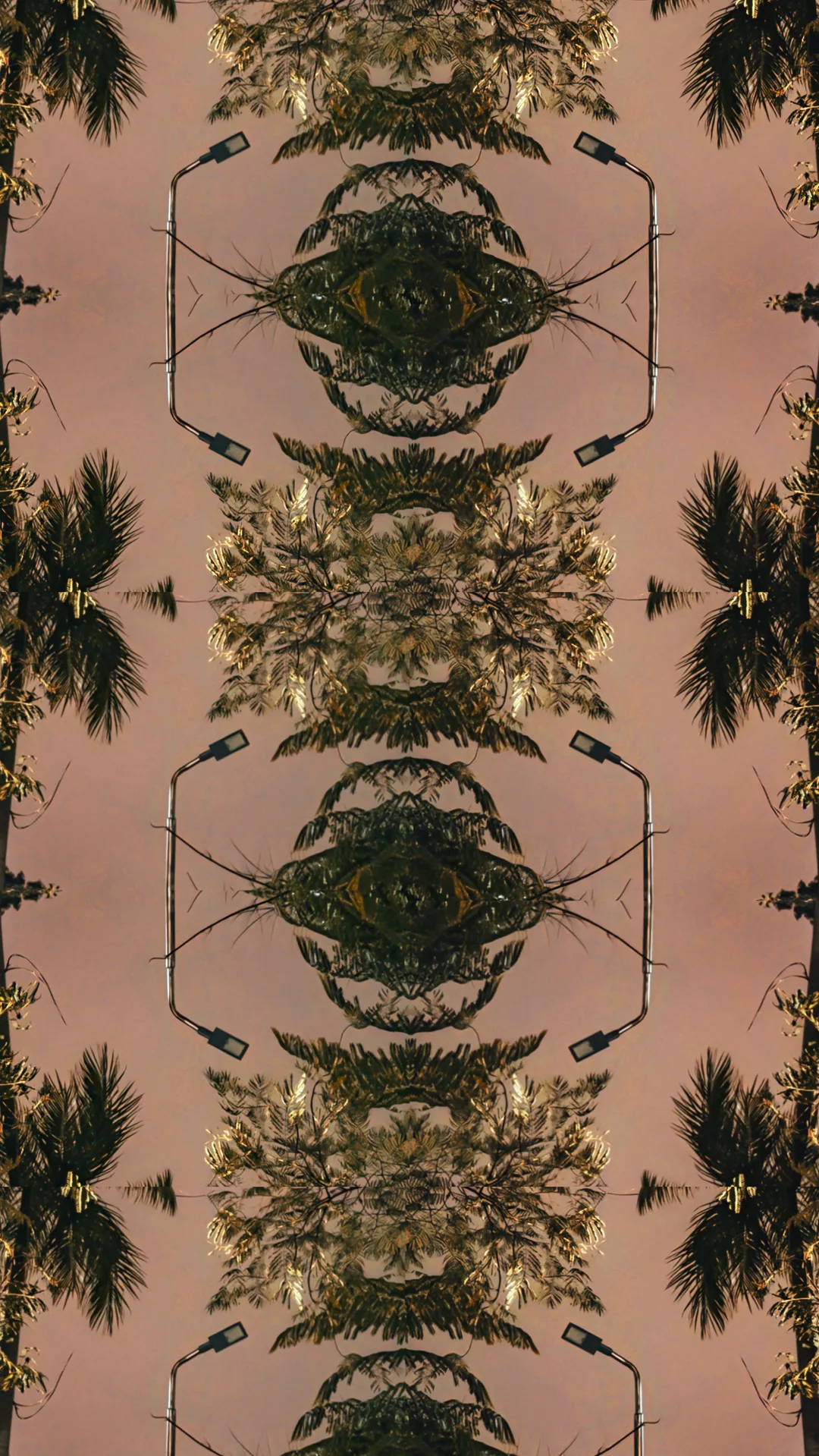 8ab660a1 50d4 4e01 9762 355227318fde