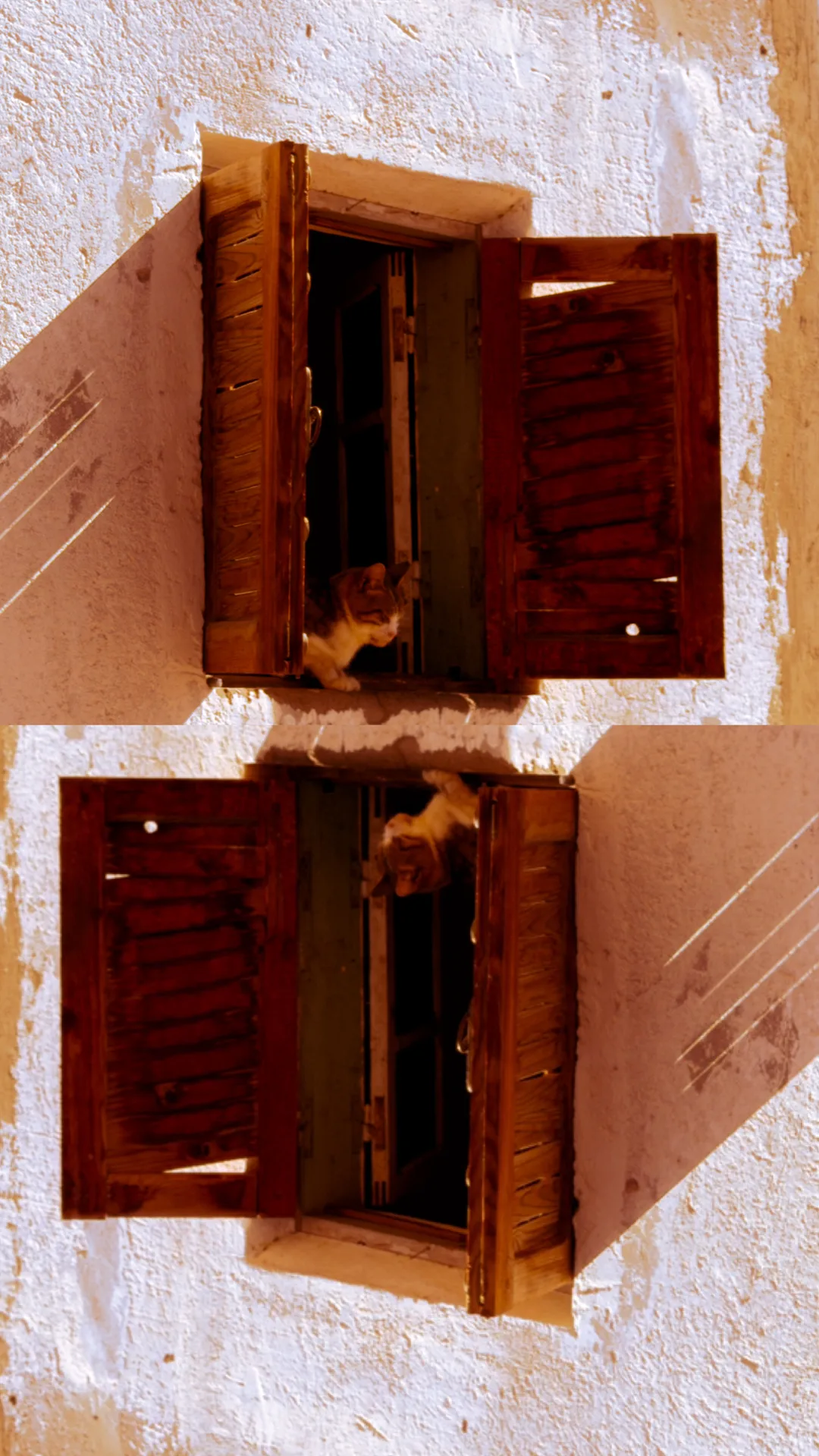 930480d3 De88 461d B488 35da7ed599e1