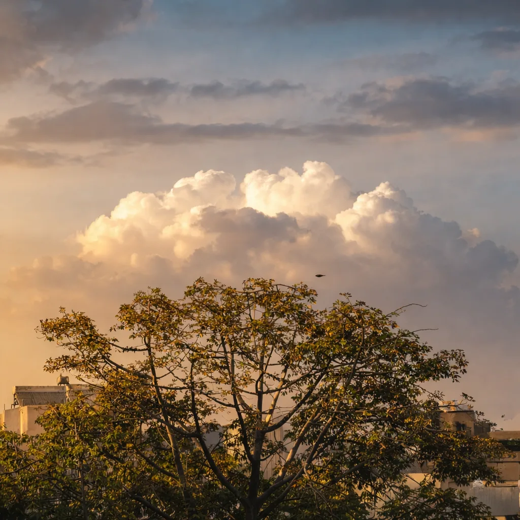 9fb00bcc 76a0 4c43 B821 13a33340853d