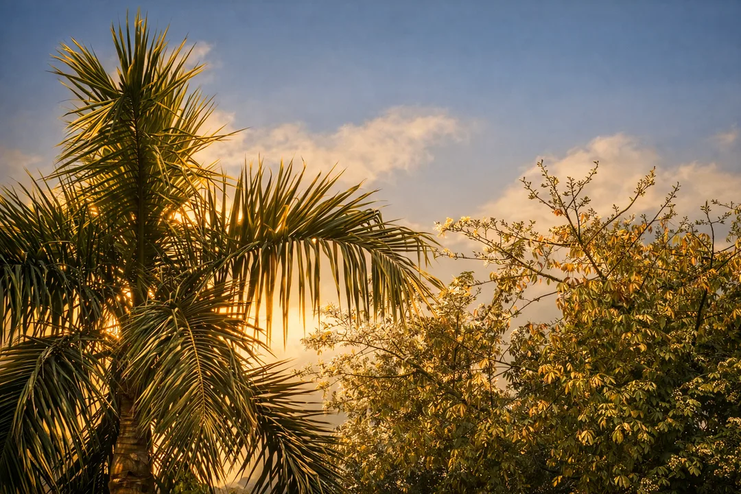 D481c34a C59e 4ac0 8f0b 4cf622e484c7